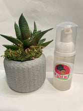 Load image into Gallery viewer, Face Wash